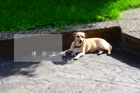 律师合格线