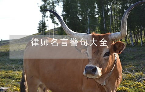 律师名言警句大全 律师名言警句大全