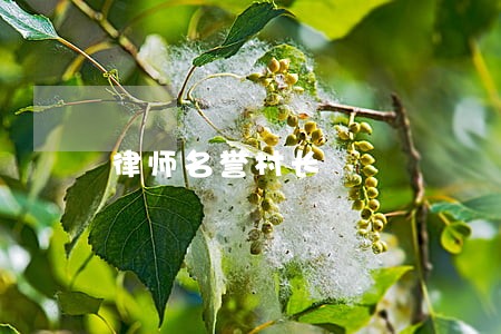 律师名誉村长 律师名誉村长