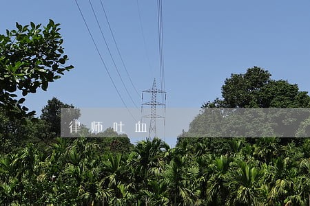 律师吐血 律师吐血