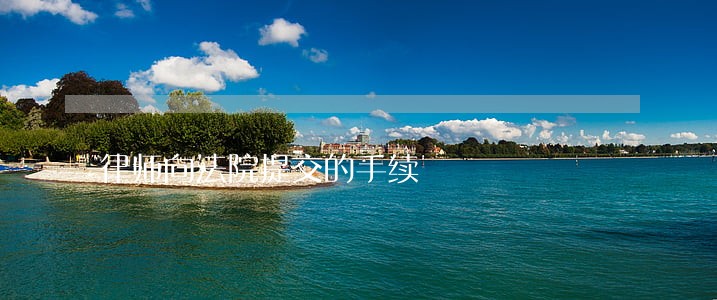 律师向法院提交的手续