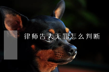 律师告人无罪怎么判断 律师告人无罪怎么判断