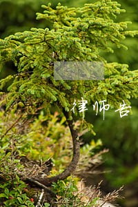 律师告自己 律师告自己