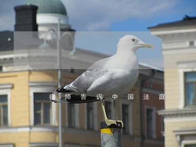 律师告诉中国法庭 律师告诉中国法庭