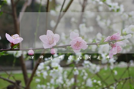 律师告诉你如何选择 律师告诉你如何选择