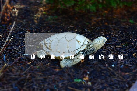 律师告诉你离婚的流程 律师告诉你离婚的流程