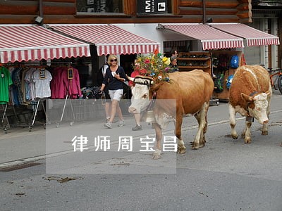 律师周宝昌 律师周宝昌