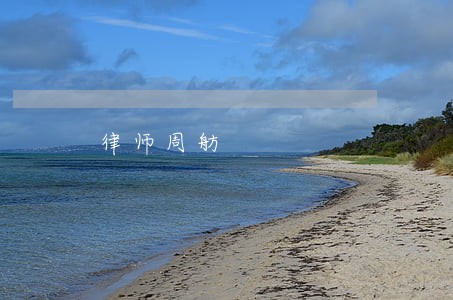 律师周舫 律师周舫