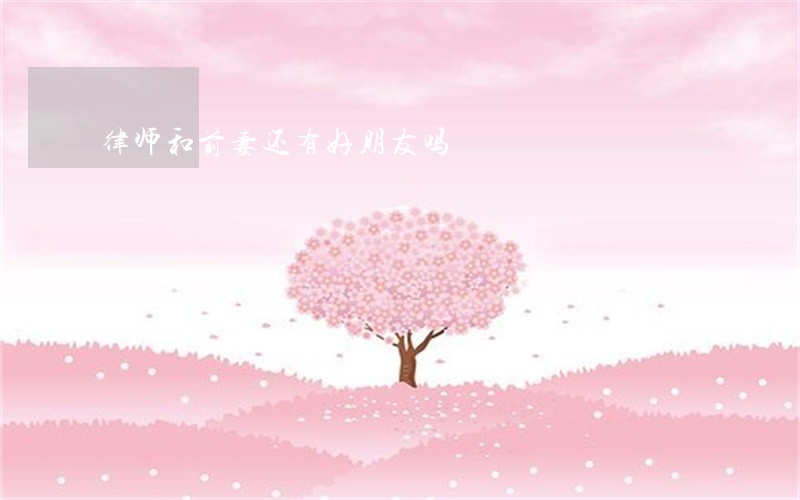 律师和前妻还有好朋友吗 律师和前妻还有好朋友吗