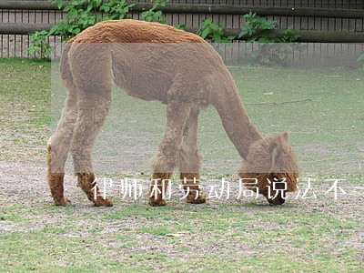 律师和劳动局说法不一致怎么办 律师和劳动局说法不一致怎么办