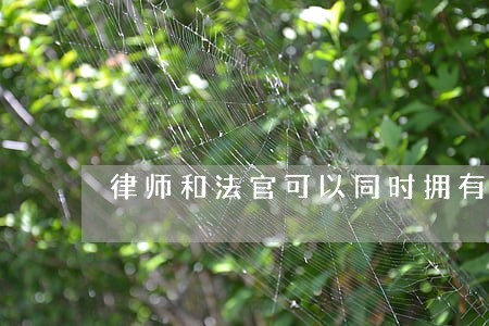 律师和法官可以同时拥有工作证吗 律师和法官可以同时拥有工作证吗
