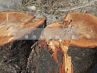 律师和法院一家的吗 律师和法院一家的吗