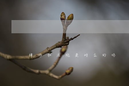 律师和法院是对立的吗