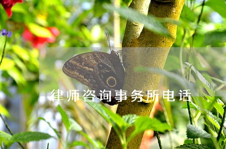 律师咨询事务所电话 律师咨询事务所电话