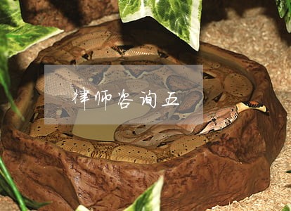 律师咨询五 律师咨询五