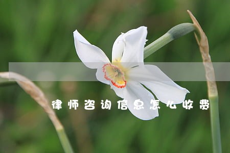 律师咨询信息怎么收费 律师咨询信息怎么收费