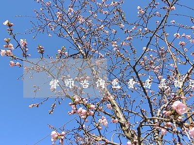 律师咨询免费房屋拆迁 律师咨询免费房屋拆迁