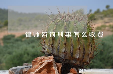 律师咨询刑事怎么收费 律师咨询刑事怎么收费
