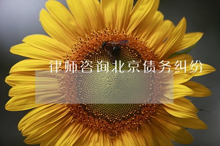 律师咨询北京债务纠纷 律师咨询北京债务纠纷