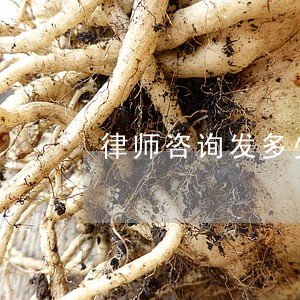 律师咨询发多少红包 律师咨询发多少红包