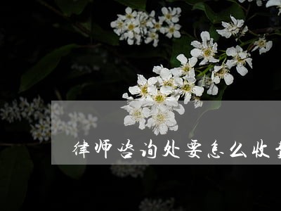 律师咨询处要怎么收费 律师咨询处要怎么收费