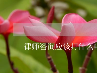 律师咨询应该打什么电话 律师咨询应该打什么电话