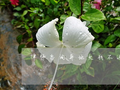 律师咨询异地欠钱不还 律师咨询异地欠钱不还