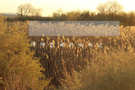 律师咨询征地拆迁 律师咨询征地拆迁