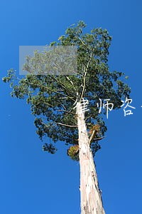 律师咨询房屋拆迁 律师咨询房屋拆迁