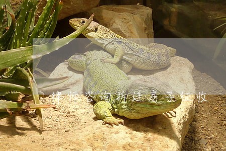 律师咨询拆迁房子征收 律师咨询拆迁房子征收
