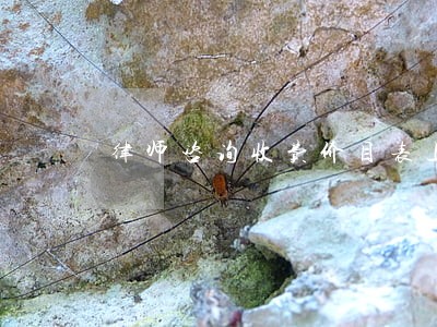 律师咨询收费价目表上海 律师咨询收费价目表上海