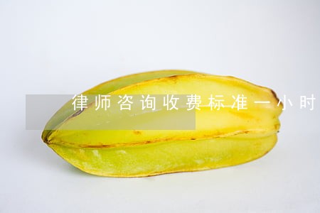 律师咨询收费标准一小时 律师咨询收费标准一小时