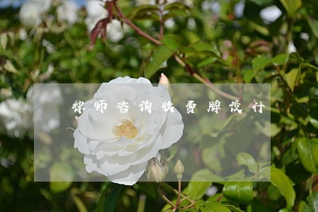 律师咨询收费牌设计