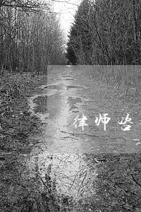 律师咨询有限公司人一 律师咨询有限公司人一