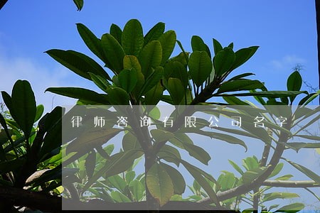 律师咨询有限公司名字 律师咨询有限公司名字