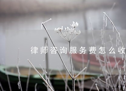律师咨询服务费怎么收取 律师咨询服务费怎么收取