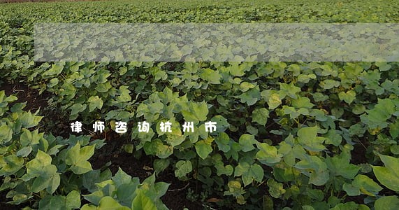 律师咨询杭州市 律师咨询杭州市