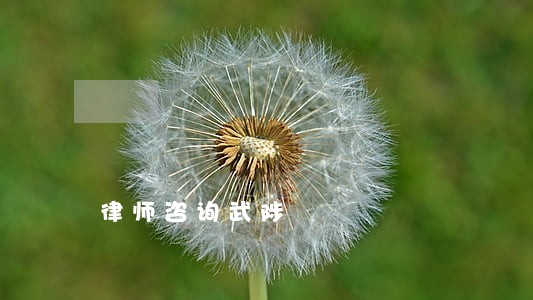 律师咨询武陟 律师咨询武陟
