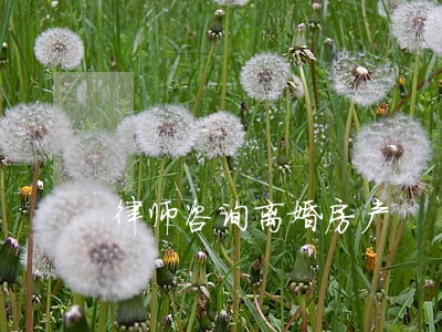 律师咨询离婚房产 律师咨询离婚房产