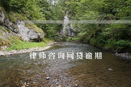 律师咨询网贷逾期 律师咨询网贷逾期