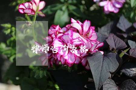 律师咨询表格 律师咨询表格