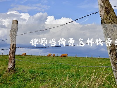 律师咨询费怎样收费的 律师咨询费怎样收费的