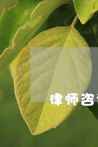 律师咨询费是多少婚姻 律师咨询费是多少婚姻