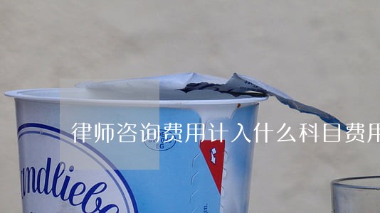 律师咨询费用计入什么科目费用 律师咨询费用计入什么科目费用