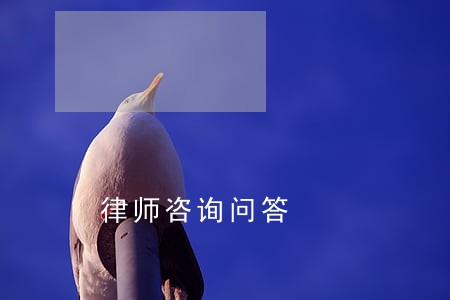 律师咨询问答 律师咨询问答