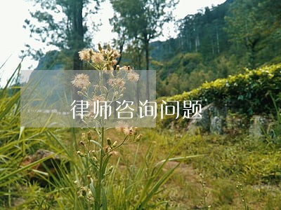 律师咨询问题 律师咨询问题