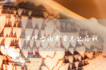 律师咨询需要怎么给钱 律师咨询需要怎么给钱