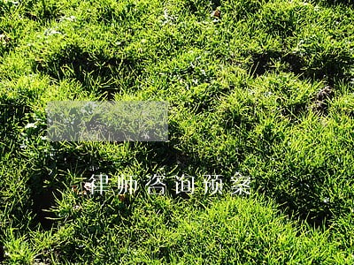 律师咨询预案 律师咨询预案