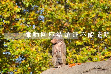律师回应结婚证不能证明 律师回应结婚证不能证明