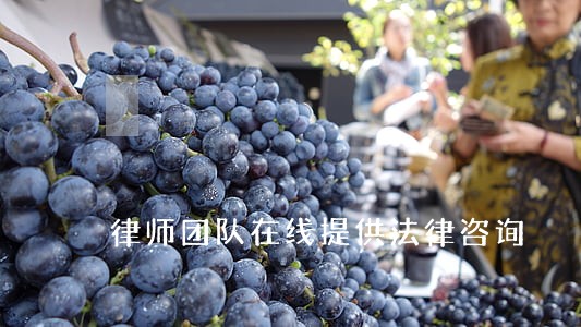 律师团队在线提供法律咨询 律师团队在线提供法律咨询